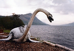 1999-06 Ecosse (ou 1999-05)